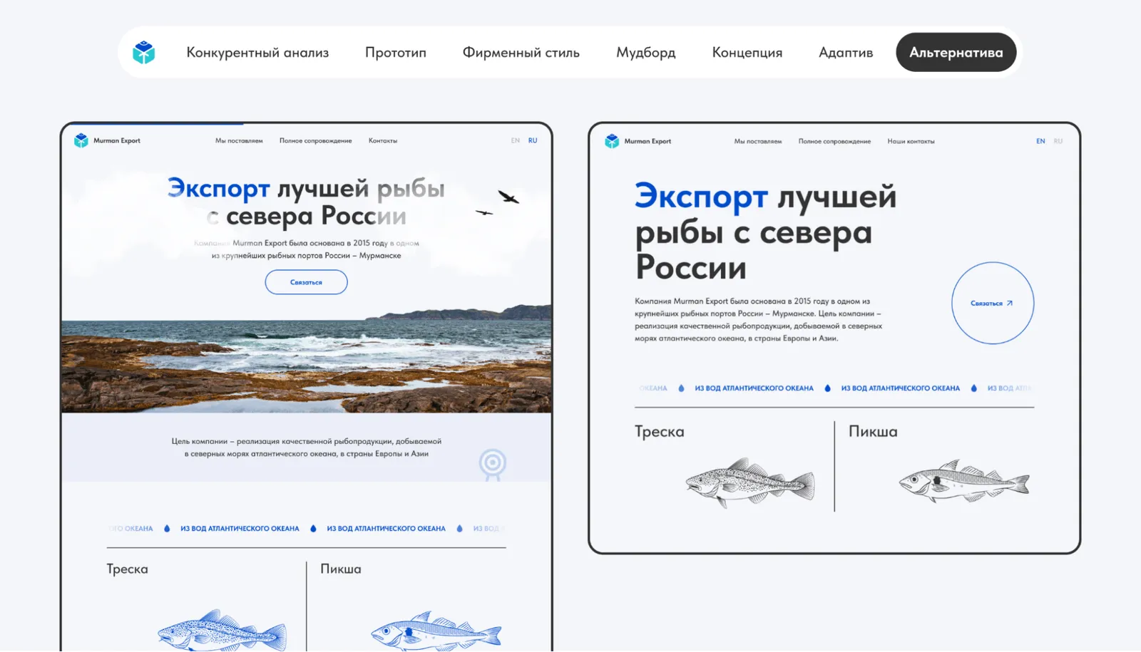 Концепция альтернатива
