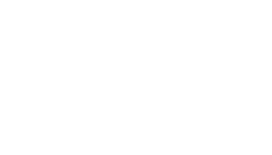 Pyrobyte